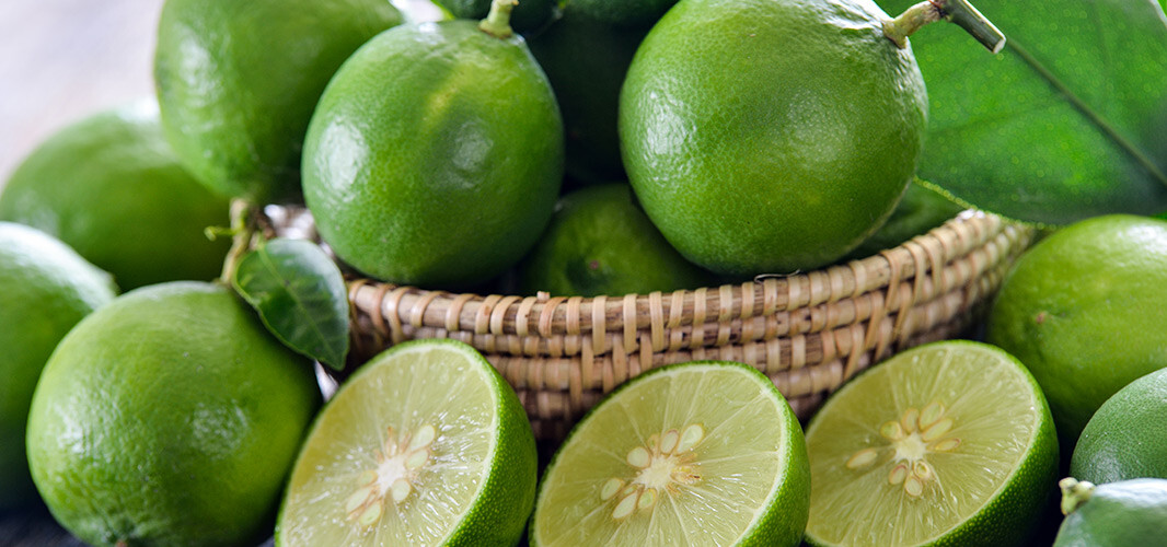 citron vert 1 desktop