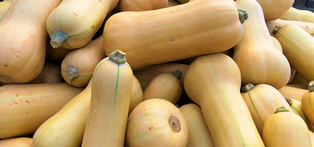 courge 2 desktop