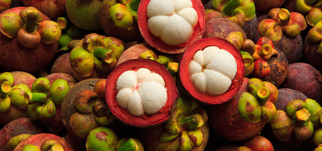 Garnicia cambodgia 1 desktop