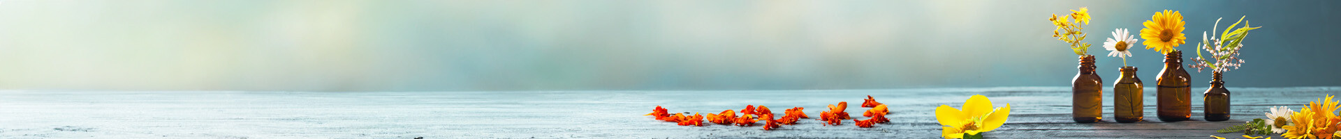 header page de contenu institutionnel 3