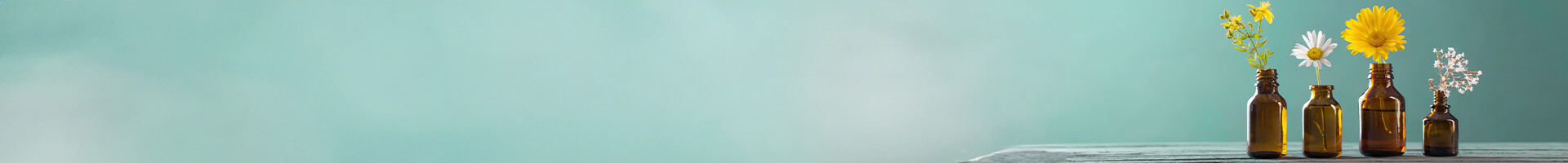 header page de contenu institutionnel 2