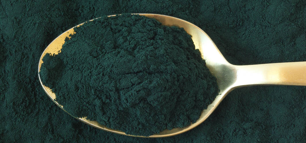 Spiruline 1 desktop