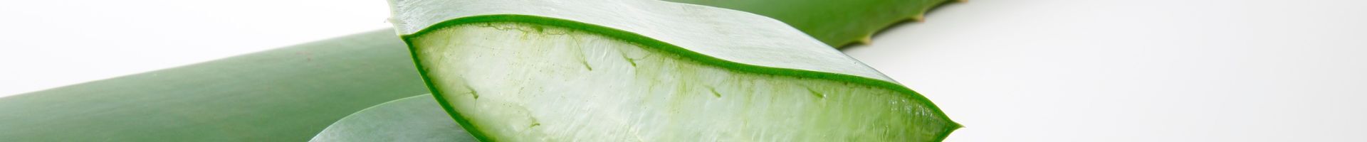 aloe vera coupé