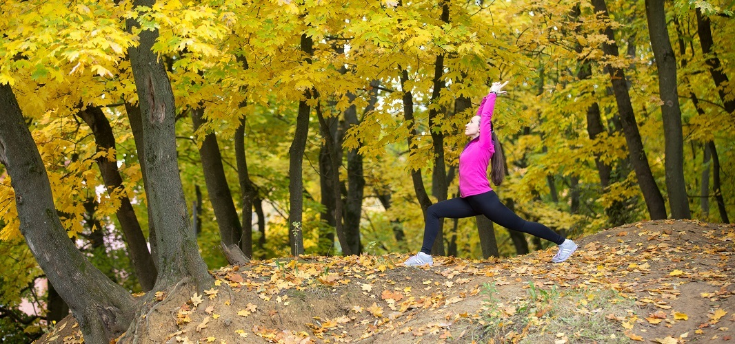 activités automne tonus