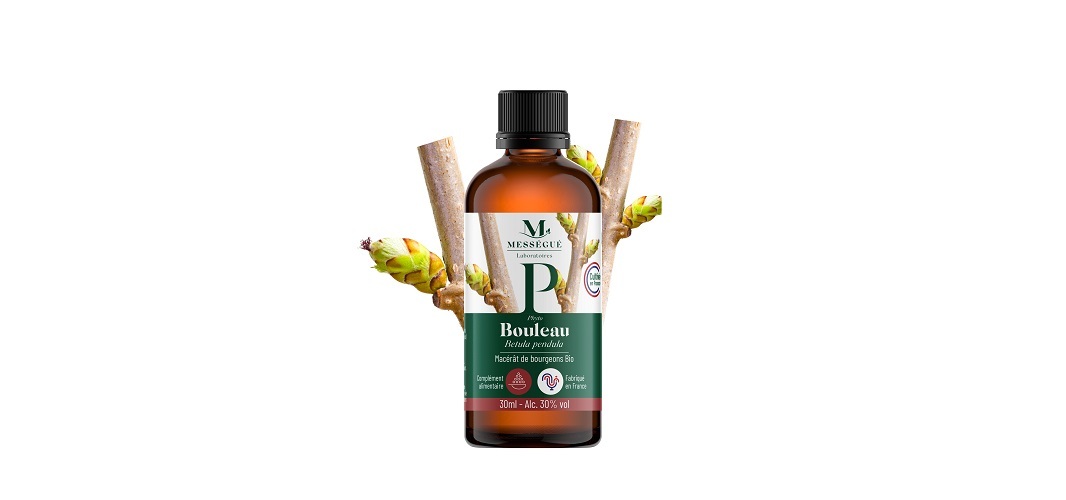 MACERAT DE BOURGEONS BOULEAU