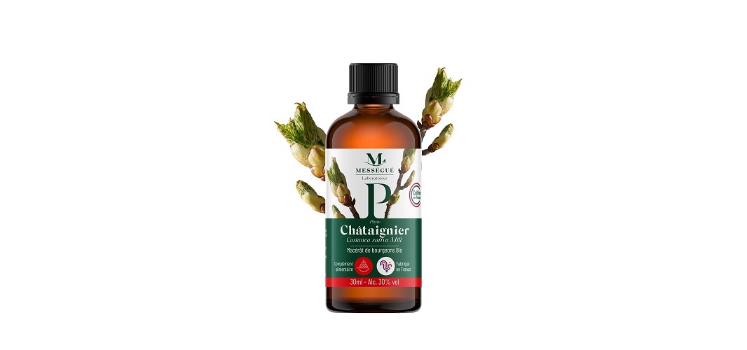 MACERAT DE BOURGEONS CHATAIGNIER BIO