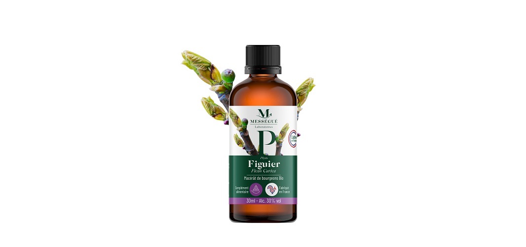MACERAT DE BOURGEONS FIGUIER BIO