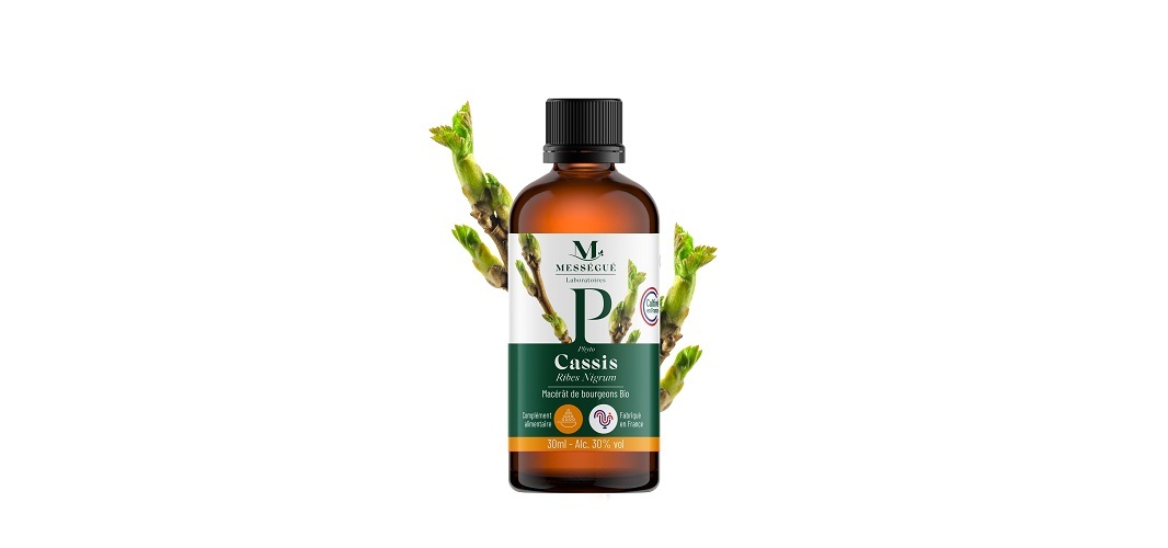 MACERAT DE BOURGEONS CASSIS BIO