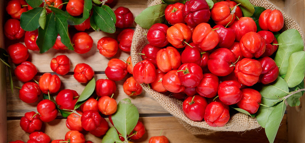 acerola