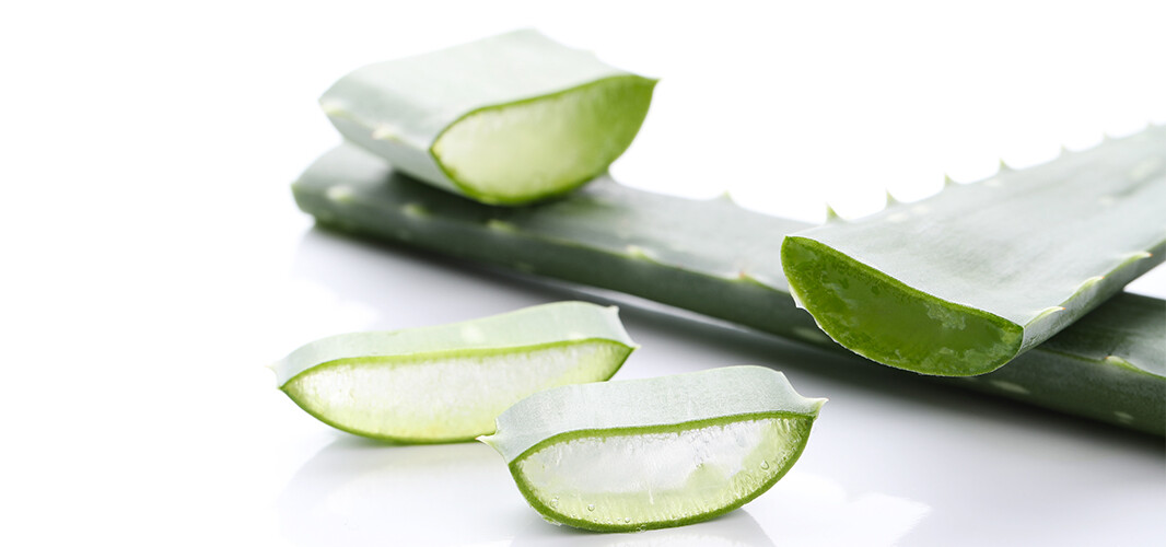 aloe dekstop 1