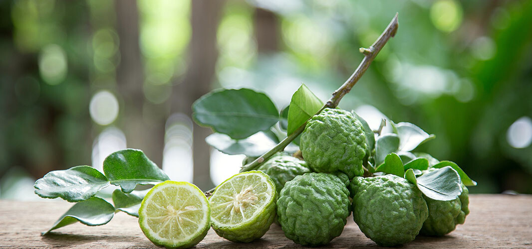 Bergamote (2)