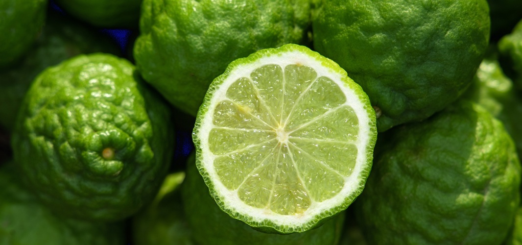 Bergamote 2