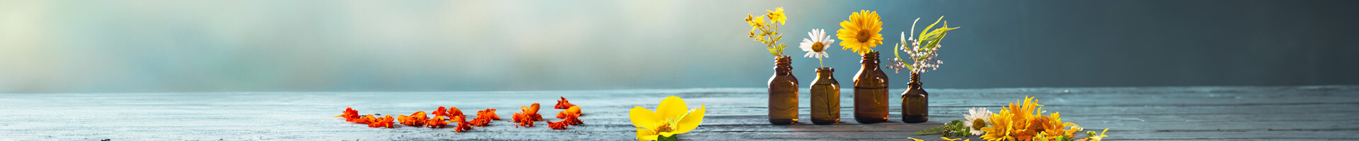 header page de contenu institutionnel 3