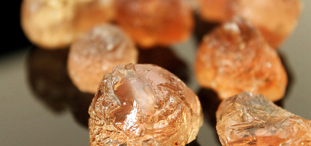 Gomme d'acacia (1)