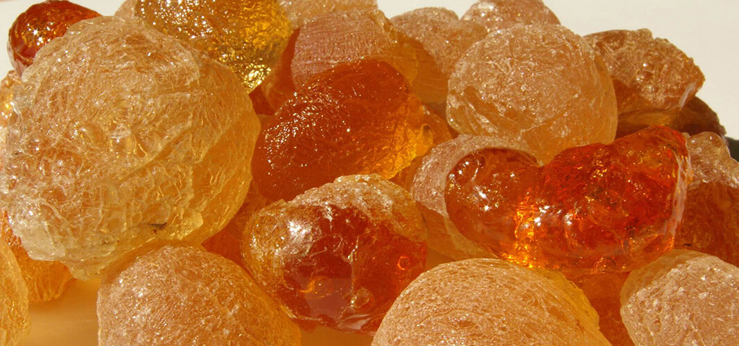 Gomme d'acacia (2)