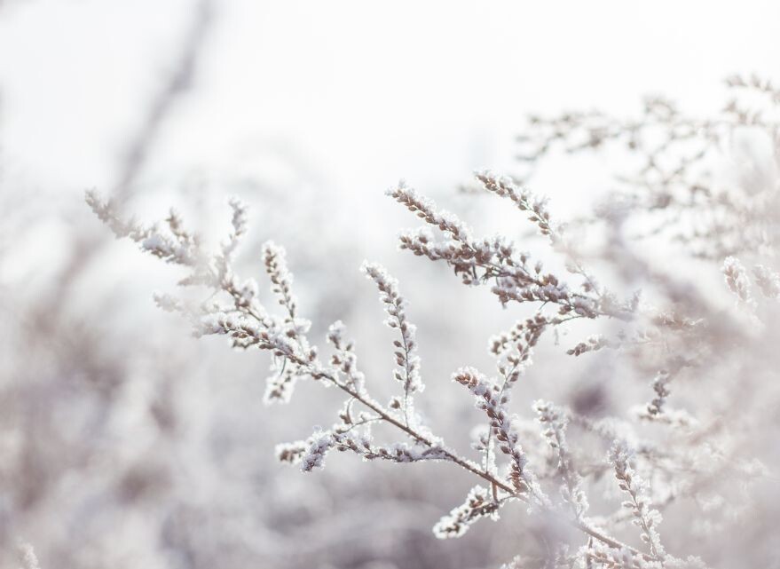 Nos conseils vidéos pour un hiver en forme