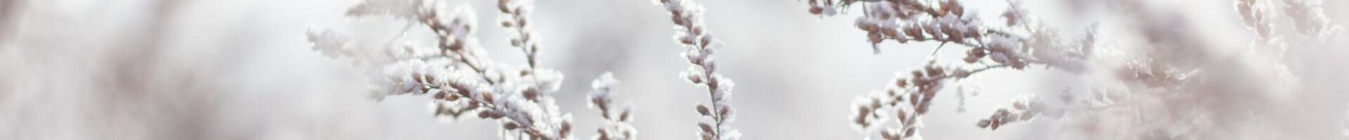 Design sans titre (35)