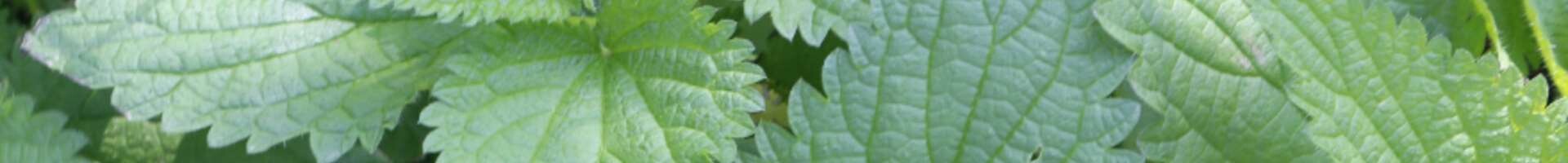 Design sans titre (12) (1) (1)