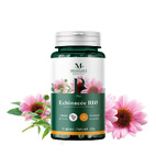 Echinacée Bio Echinacée