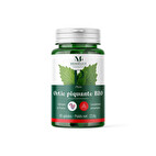 Ortie Piquante Bio Ortie