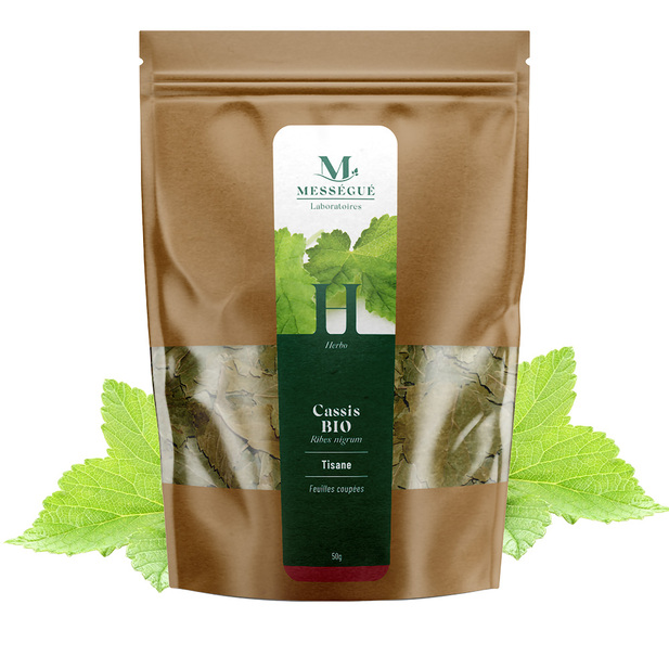 Cassis feuilles coupées Bio Cassis