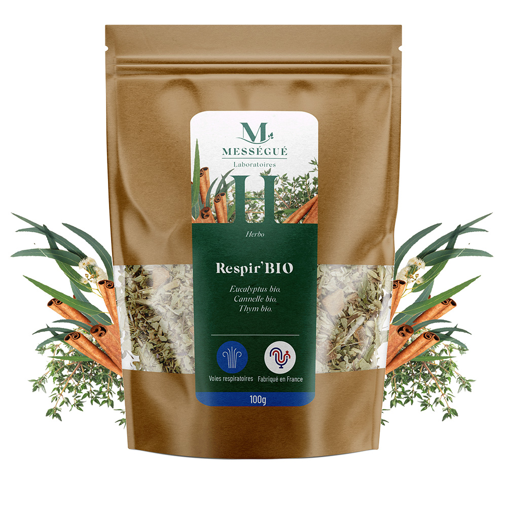 Tisane Respir Bio Eucalyptus