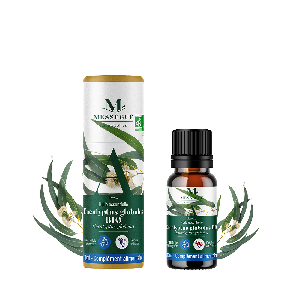 Huile essentielle eucalyptus globulus bio Reconnue pour ses bienfaits sur la sphère respiratoire*