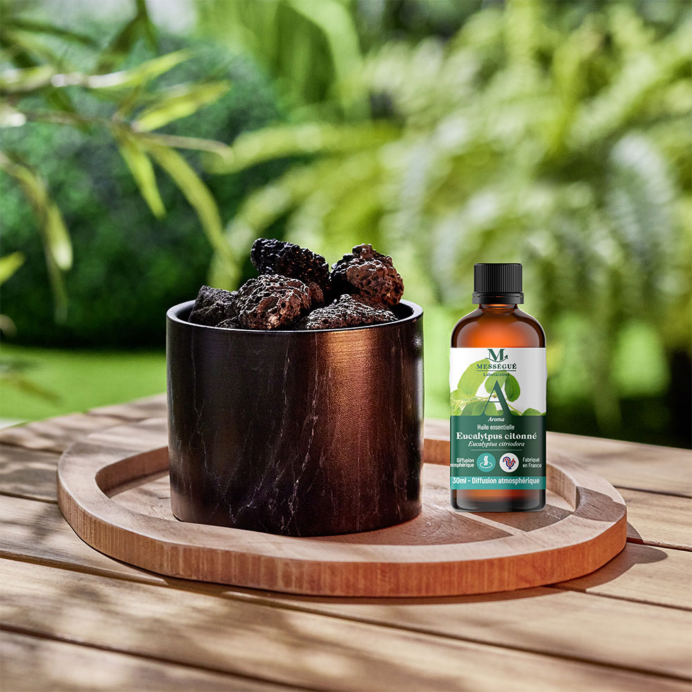 Tranquil'&eacute;t&eacute; - duo diffuseur roches volcaniques et huile essentielle eucalyptus citronne Le diffuseur de votre &eacute;t&eacute;