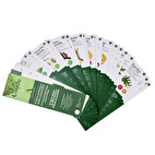 Nuancier huiles essentielles Le guide pratique des huiles essentielles à avoir absolument !
