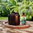 Tranquil'&eacute;t&eacute; - duo diffuseur roches volcaniques et huile essentielle eucalyptus citronne Le diffuseur de votre &eacute;t&eacute;