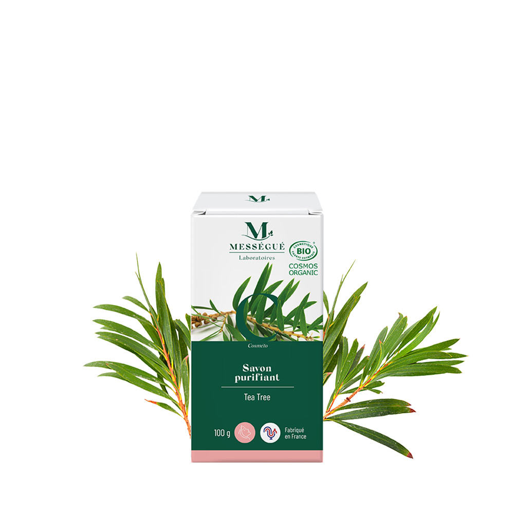 Savon purifiant Certifi&eacute; Bio Au Tea Tree Arbre &agrave; th&eacute;