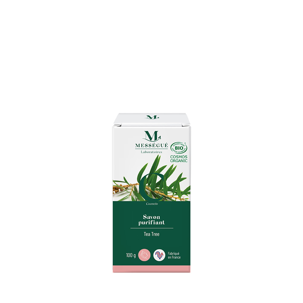 Savon purifiant Certifi&eacute; Bio Au Tea Tree Arbre &agrave; th&eacute;