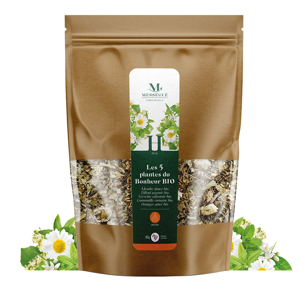 5 Plantes du Bonheur Bio Menthe douce