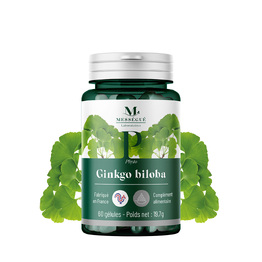 Ginkgo biloba L&rsquo;arbre de la m&eacute;moire et de la vitalit&eacute; mentale
