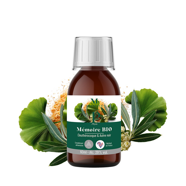Mémoire Bio Eleuthérocoque