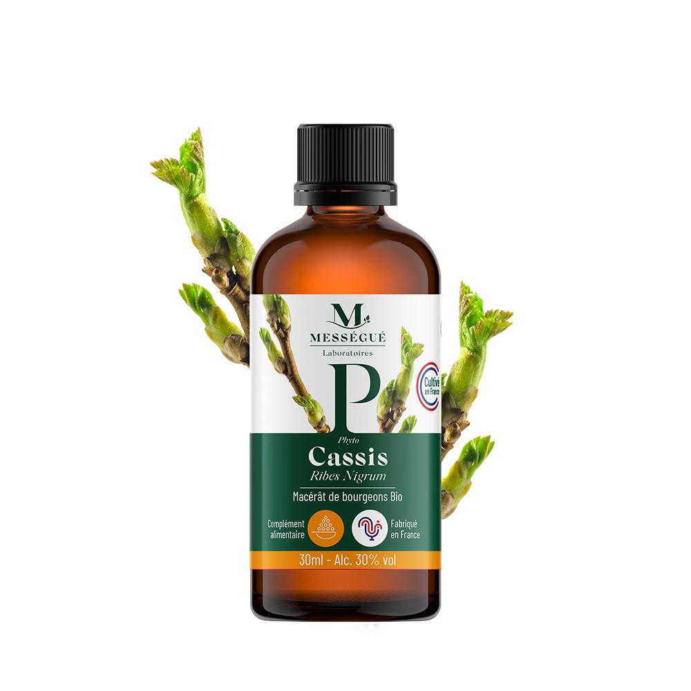 Mac&eacute;rat de bourgeons de Cassis Bio 30ml Bourgeon de cassis