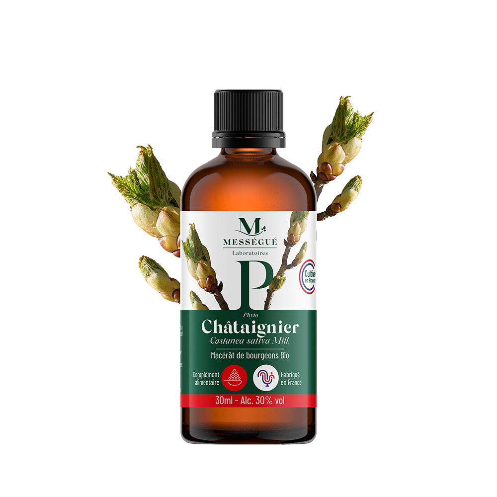 Macérat de bourgeons de Châtaignier Bio 30ml Bourgeon de châtaignier