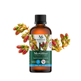 Mac&eacute;rat de jeunes pousses de myrtillier bio 30ml Pour les troubles de la vision