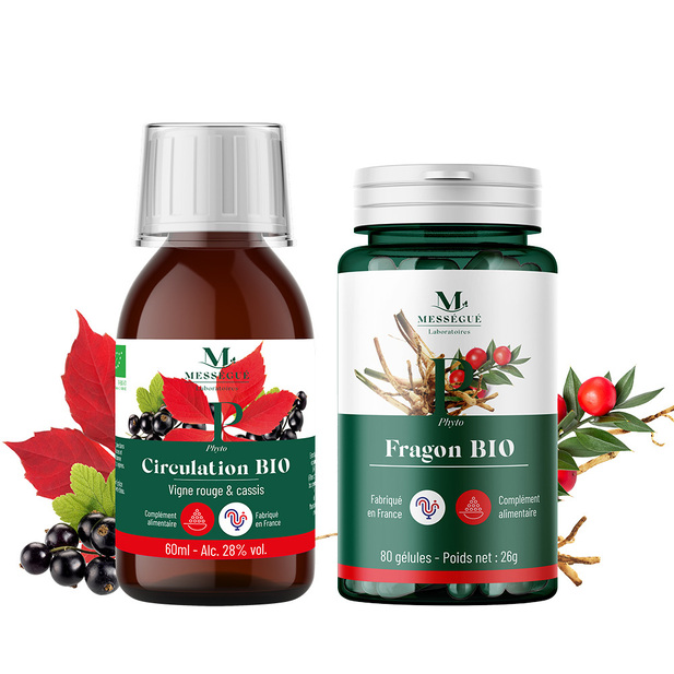 Programme Circulation Sanguine
